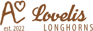 Lovelis Longhorns